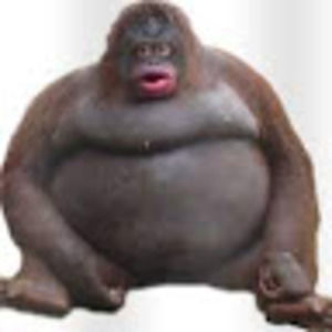 Meet your Posher, Jack